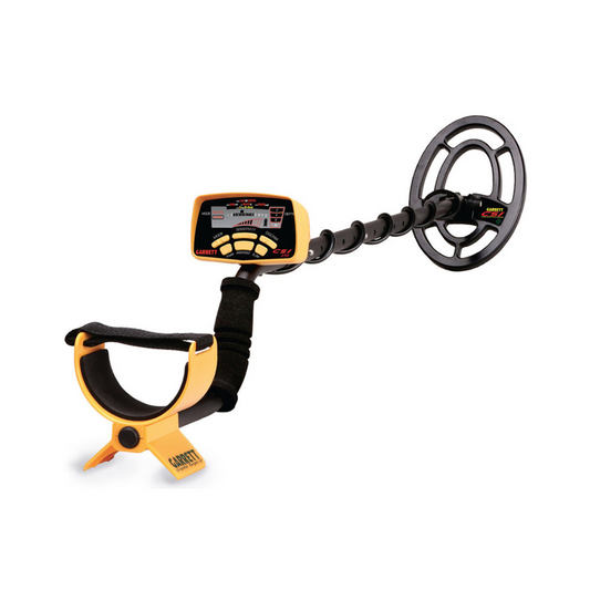 CSI 250 Ground Search Detector